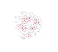 White Flower Mini Buttons