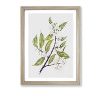 White Flowers By Sarah Featon Vintage Framed Wall Art Print, Ready to Hang Picture for Living Room Bedroom Home Office Décor, Oak A4 (34 x 25 cm)