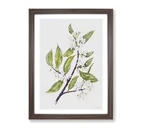 White Flowers By Sarah Featon Vintage Framed Wall Art Print, Ready to Hang Picture for Living Room Bedroom Home Office Décor, Walnut A2 (64 x 46 cm)