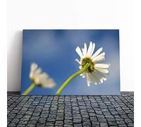 White Flowers Reaching for The Sun Canvas Print | Gallery Wrapped 30mm Frame Wall Art | 24x16 inches | Ready to Hang | Modern Floral Picture | Living Room Bedroom Lounge Office