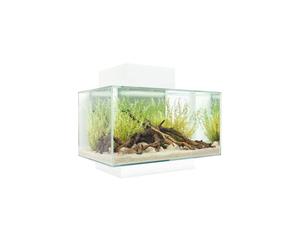 (White) Fluval Edge 2.0 LED Aquarium Kit 23L