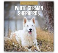 White German Shepherds 2027 Square Wall Calendar: Original Red Robin Publishing Ltd-Kalender [Mehrsprachig] [Kalender]