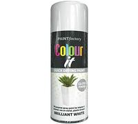 Rapide Spray Paint White Gloss - Interior & Exterior - 250 ml Can