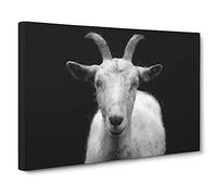 White Goat Vol.2 Canvas Print for Living Room Bedroom Home Office Décor, Wall Art Picture Ready to Hang, 30 x 20 Inch (76 x 50 cm)