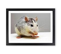 White & Grey Rat Modern Framed Wall Art Print, Ready to Hang Picture for Living Room Bedroom Home Office Décor, Black A2 (64 x 46 cm)