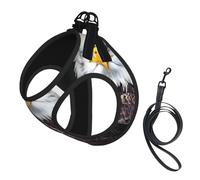 White Head Eagle print Dog Harness and Leash Set, Reflective Adjustable Puppy Vest for Small Medium Large Dogs, Cats