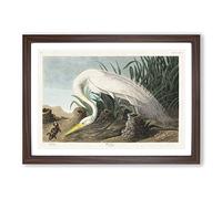 White Heron by John James Audubon Framed Wall Art Print A2 Walnut