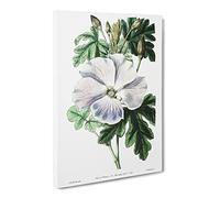 White Hibiscus Flower Canvas Print | Gallery Wrapped 30mm Frame Wall Art | 20x14 inches | Ready to Hang | Retro Floral Picture | Living Room Bedroom Lounge Office