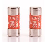 White Hinge 2X Replacement 30 Amp Through-Hole Mount Fuse, 240V, Ceramic, Copper