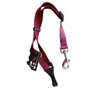 White Hinge Limited Sotnos Dog Seat Belt for Safe Car Travel Pink