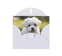 White Holiday greeting check blank card and pearl beautiful blank note block VVXBHGR Cute Maltese Puppy Pattern