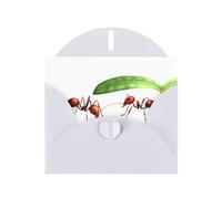 White Holiday greeting check blank card and pearl beautiful blank note block VVXBHGR Little ants hiding from the rain Pattern