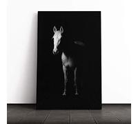 White Horse Canvas Print | Gallery Wrapped 30mm Frame Wall Art | 20x14 inches | Ready to Hang | Modern Animals Picture | Living Room Bedroom Lounge Office