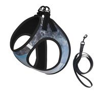 White Horse In Winter,Pet Harness,Adjustable Reflective Dog Harness,Pet Leash Vest,L