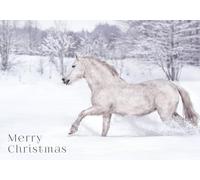 White Horse Running in the Snow Pack of 10 Merry Christmas Greeting Cards 125mm x 178mm - Including Envelopes - GC670PCK10
