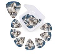 White horse running on the sea Guitar Picks 12 Pack Personalized Plectrums with Storage Box, Colorful Celluloid Guitar Plectrum Includes Thin, Medium, Heavy Picks for Acoustic Guitar Bass Picks
