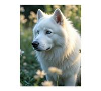 White Husky In Sunlit Meadow Diamond Art Kits for Adults, Round Full Drill 5D Diamond Painting Diamond Art for Beginners, Diamonds Pictures Diamond Painting Crafts Home Wall Decor 12x16 Inch Frameless