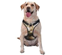 White Hydrangeas In Ceramic Vase No Pull Dog Harness Adjustable Reflective Oxford Easy Control Medium Large Dog Harness