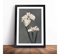 White Iris Flower by Kazumasa Ogawa | Framed Wall Art Print | Modern Home Decor Picture | Ready to Hang Artwork for Living Room, Bedroom, Kitchen or Office | Multiple Sizes