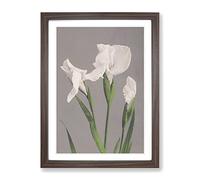 White Irises By Ogawa Kazumasa Asian Japanese Framed Print | A4 Walnut Framed Wall Art | Ready to Hang | Asian Nature Picture | Living Room Bedroom Lounge Office