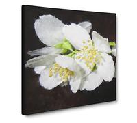 White Jasmine Flowers Canvas Print | Gallery Wrapped 30mm Frame Wall Art | 14x14 inches | Ready to Hang | Modern Floral Picture | Living Room Bedroom Lounge Office