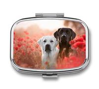 White Labrador Pill Case Travel Portable Pocket Pill Box 2 Compartment Medicine Case Large Capacity Daily Pill Case Vitamin Organizer Medicine Organizer Small Pill Box