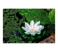 White Lotus Solar Garden Light Ornament Decoration Multicolour LED - 28cm by Bright Garden
