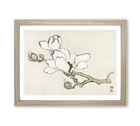 White Magnolia By Kono Bairei Asian Japanese Framed Print | A3 Oak Framed Wall Art | Ready to Hang | Asian Floral Picture | Living Room Bedroom Lounge Office