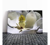 White Magnolia Flower Canvas Print | Gallery Wrapped 30mm Frame Wall Art | 30x20 inches | Ready to Hang | Modern Floral Picture | Living Room Bedroom Lounge Office