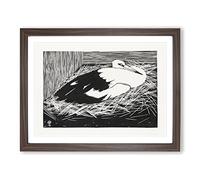 White Maguar Stork By Samuel De Mesquita Classic Painting Framed Print | A3 Walnut Framed Wall Art | Ready to Hang | Classic Historical Picture | Living Room Bedroom Lounge Office