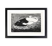 White Maguar Stork by Samuel De Mesquita Framed Print | A2 Black Framed Wall Art | Ready to Hang | Modern Nature Picture | Living Room Bedroom Lounge Office