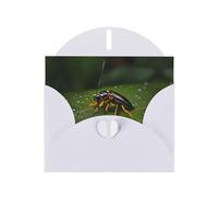 White MJHKXLJ Insects on leaves Prints Pearlized Greeting Card - Envelope Included - Perfect for Christmas, Birthdays, Valentines, Weddings, and More