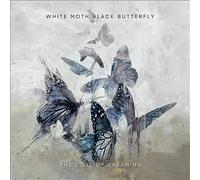 White Moth Black Butterfly - The Cost of Dreaming [New Vinyl LP]
