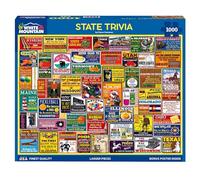 White Mountain 1000 Piece Jigsaw Puzzle Funny State Collage Puzzles with Large Pieces Gift for Adults and Family 24"x30" - State Trivia
