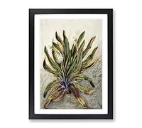 White Mountain Daisies By Sarah Featon Vintage Framed Print | A2 Black Framed Wall Art | Ready to Hang | Classic Landscape Picture | Living Room Bedroom Lounge Office