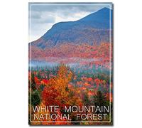 White Mountain National Forest, New Hampshire-Maine Travel Refrigerator Magnet Size 2.5" x 3.5"