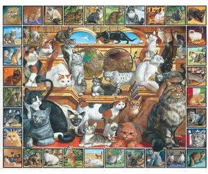 White Mountain Puzzles World of Cats 1000pc jigsaw puzzle 760mm x 610mm TO CLEAR