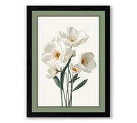 White Narcissus Study Botanical Framed Wall Art Print A2 (59.4×42cm) Black, Wall Decor for Living Room, Bedroom, Office & Home, Ready to Hang, Art Gift
