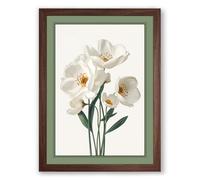 White Narcissus Study Botanical Framed Wall Art Print A2 (59.4×42cm) Walnut, Wall Decor for Living Room, Bedroom, Office & Home, Ready to Hang, Art Gift