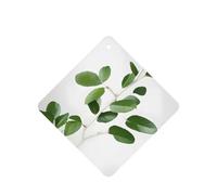 White Natural Greenery Twig Printing 10 Pcs Car Air Freshener Hanging Sheets Scented Hanging Sheets With Rope For Home