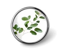 White Natural Greenery Twig Round Badge Cute Enamel Lapel Pin Brooches Button Pin Personalized Clothing Decoration Unisex Badge Holder Hats Bags Shirts Decor