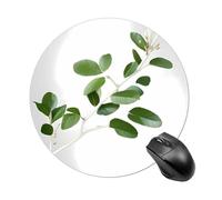 White Natural Greenery Twig Round Mouse Pad Smooth Glide Gaming Mousepad Extra Density Portable Comfortable Mouse Mat for Desk, Home, Office 7.8x7.8 Inches