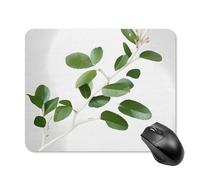 White Natural Greenery Twig Square Mouse Pad Portable Computer Mousepad with Non-Slip Rubber Base 20 * 25cm Ultra-Thin Gaming Mouse Mat for Computer Laptop Office Desk Accessories
