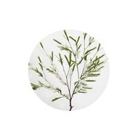 White Natural Plant Green Twig Printing 10 Pcs Air Freshener Cards,Car Scented Hanging Sheets Air Freshener Set For Car Decoration
