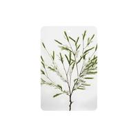 White Natural Plant Green Twig Printing 10 Pcs Air Freshener Cards,Car Scented Hanging Sheets Air Freshener Set For Car Decoration