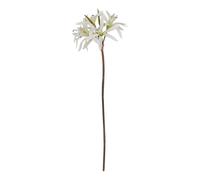 White Nerine Lily Stem Artificial Flower Love Lace White One Size