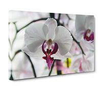 White Orchid Flower No.3 Canvas Print | Gallery Wrapped 30mm Frame Wall Art | 30x20 inches | Ready to Hang | Modern Floral Picture | Living Room Bedroom Lounge Office
