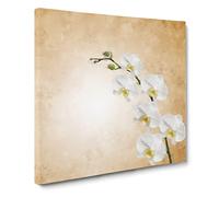 White Orchid Flowers Canvas Print | Gallery Wrapped 30mm Frame Wall Art | 20x20 inches | Ready to Hang | Modern Floral Picture | Living Room Bedroom Lounge Office