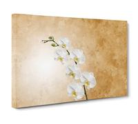 White Orchid Flowers Canvas Print | Gallery Wrapped 30mm Frame Wall Art | 30x20 inches | Ready to Hang | Modern Floral Picture | Living Room Bedroom Lounge Office
