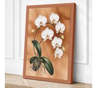 White Orchid Study Botanical Canvas Wall Art Print 30x20 Inch (76 x 51 cm)